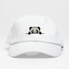 Panda Vol 2- Dad Hat